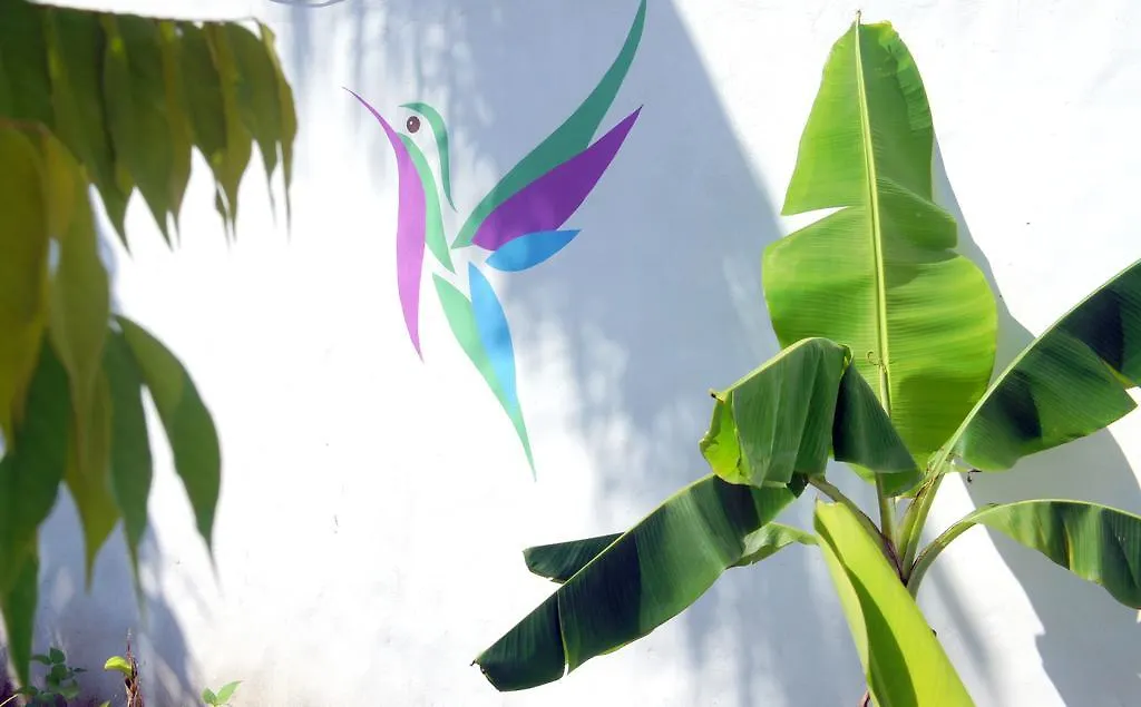 Hummingbird Cabarete Aparthotel